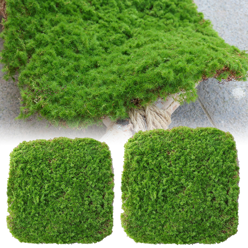 Lisslune | Moss Cover Piece – Moss Flakes Ornament for Decoration and Landscaping
