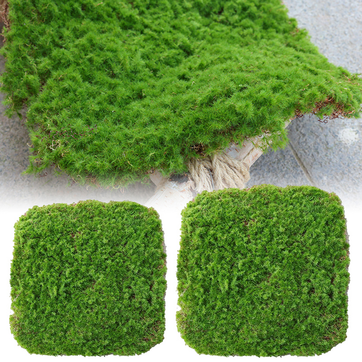 Lisslune | Moss Cover Piece – Moss Flakes Ornament for Decoration and Landscaping