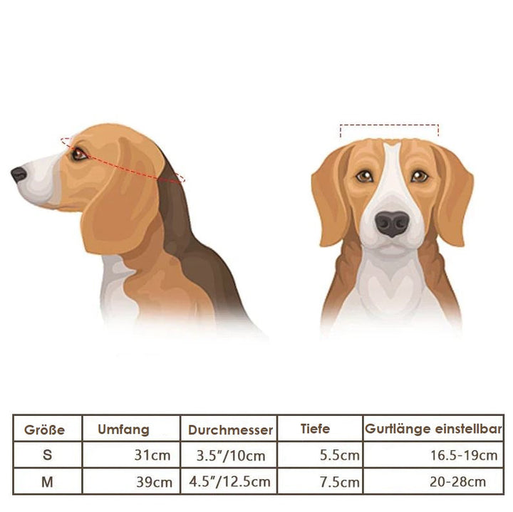 Lisslune | Motorcycle Helmet and Goggles for Dogs – Trendy and Safe