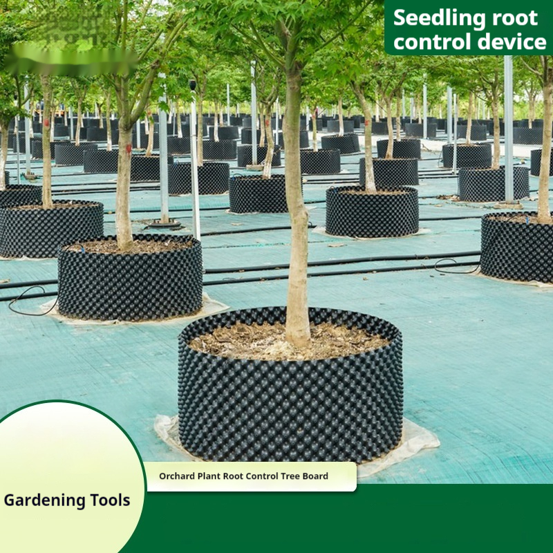 Lisslune | Root control device for plants and landscaping to promote healthy growth