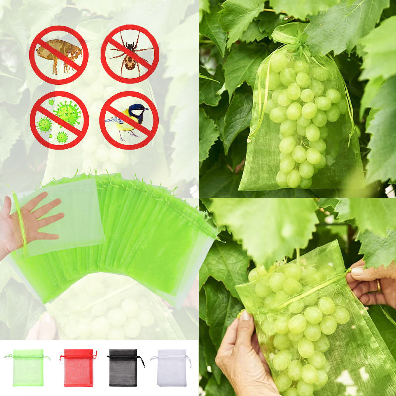 Lisslune | Fruit Protection Bag (100 PCS)