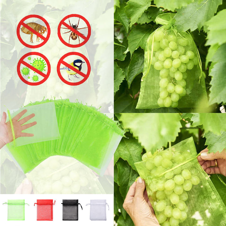 Lisslune | Fruit Protection Bag (100 PCS)