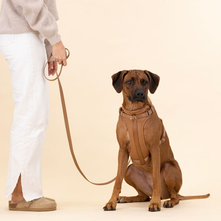 Lisslune | ComfyPaws Dog Harness Walking Set with Leash and Poop Bag Holder