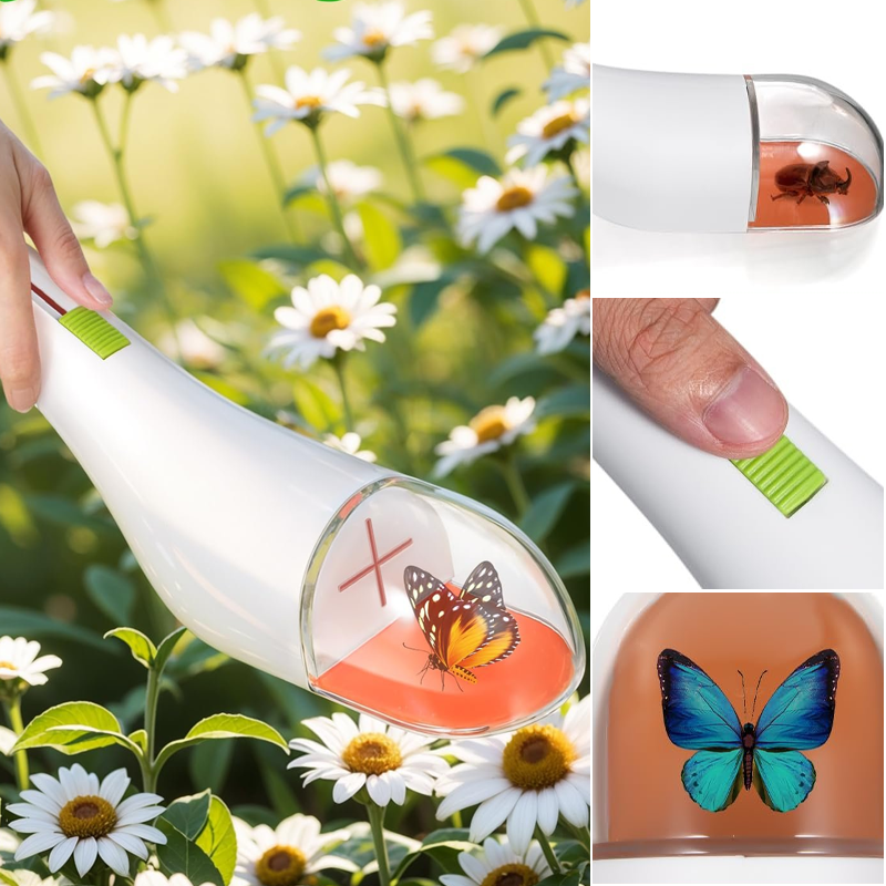 Lisslune | Insect catching toy for children