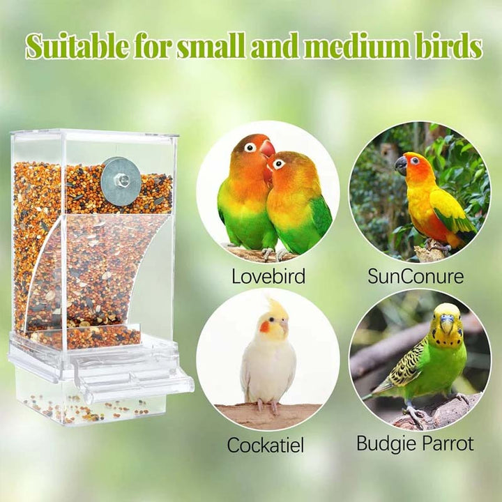 Lisslune | Automatic transparent bird feeder without spills