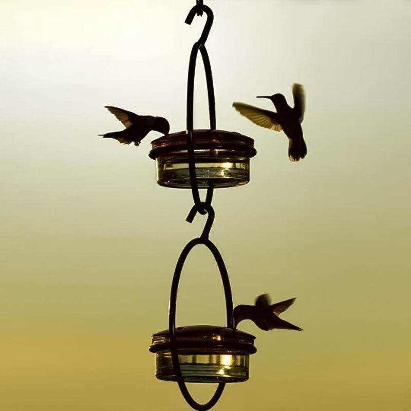 Lisslune | Simple Hummingbird Water Dispenser Made of Metal