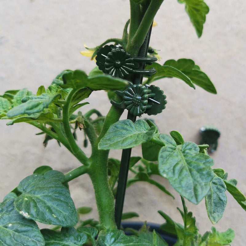 Lisslune | Mounting clip for plants and flowers on support poles