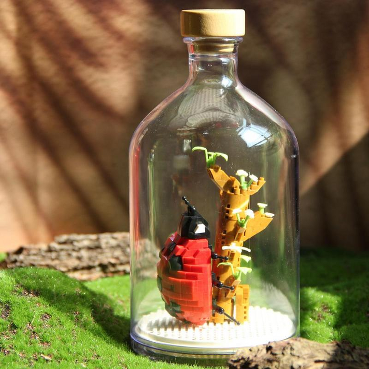 Lisslune | Mini building blocks for insect collection