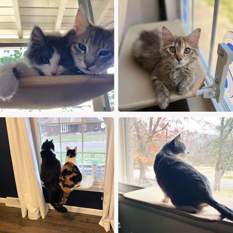 Lisslune | Foldable Cat Window Bed