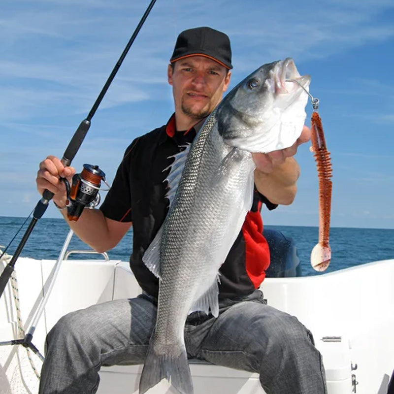Lisslune | New Design Angler Dragon Hole Bait 46 Sections Soft Bait
