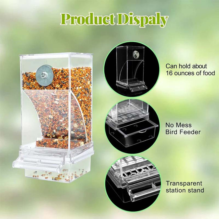 Lisslune | Automatic transparent bird feeder without spills