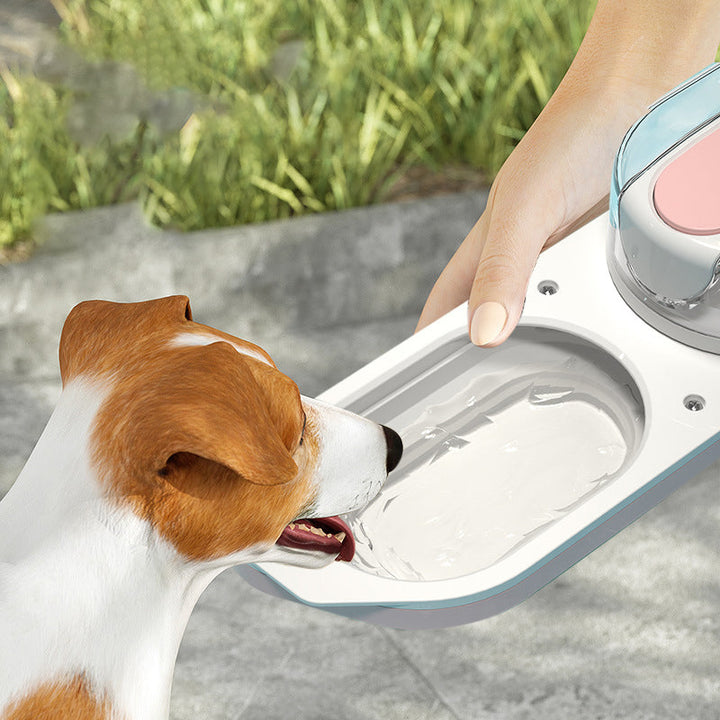 Lisslune | Pet Cups comfortable and foldable