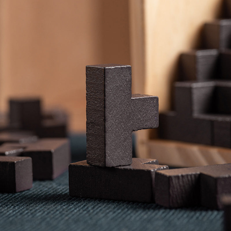Lisslune | Wood intelligence toy brain teaser game