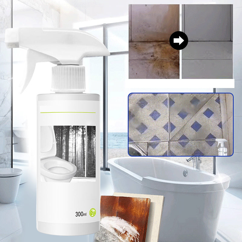 Lisslune | Powerful cleaner for stains in toilet shine with oxalic acid