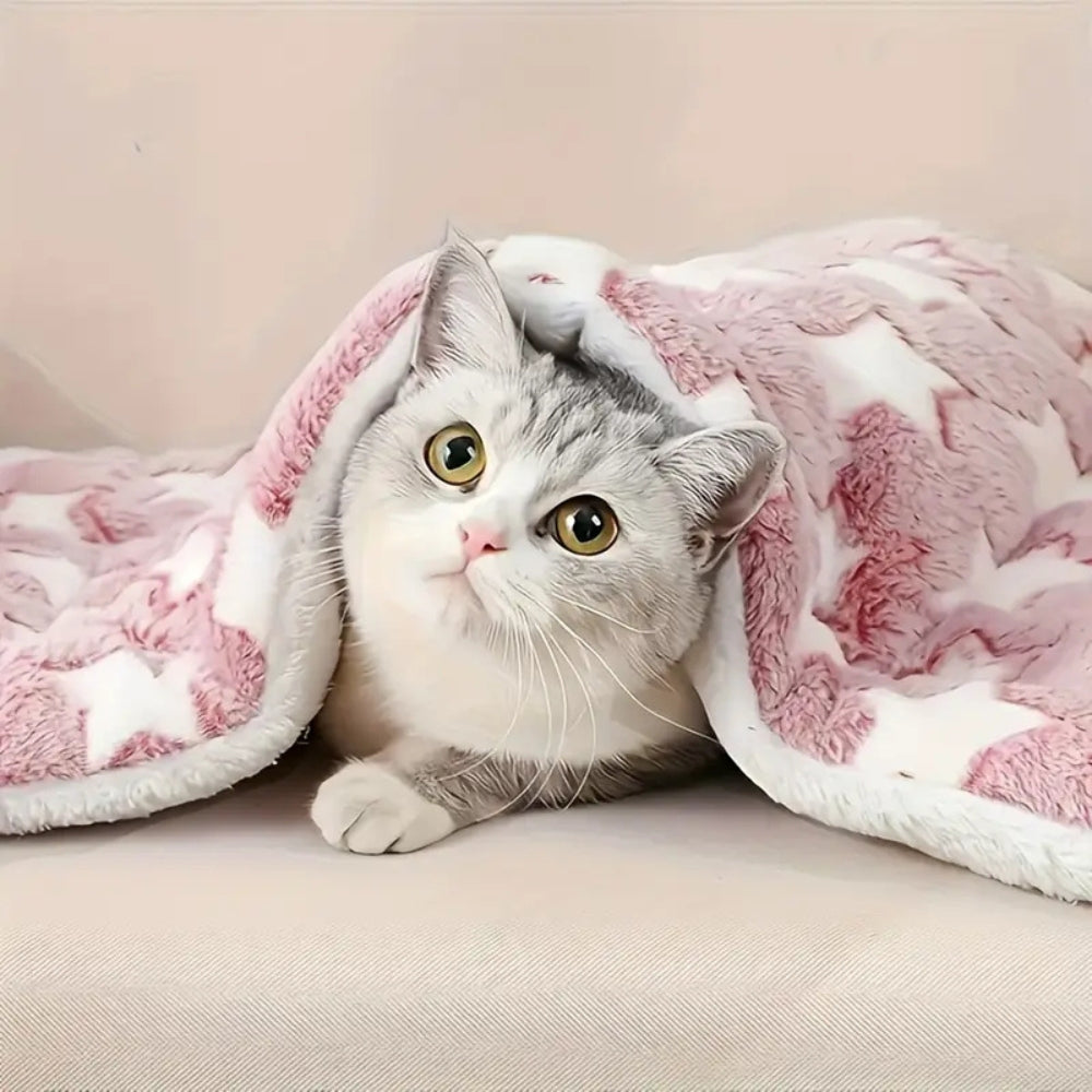 Lisslune | Snuggly Star Ultra-Warm Pet Bed
