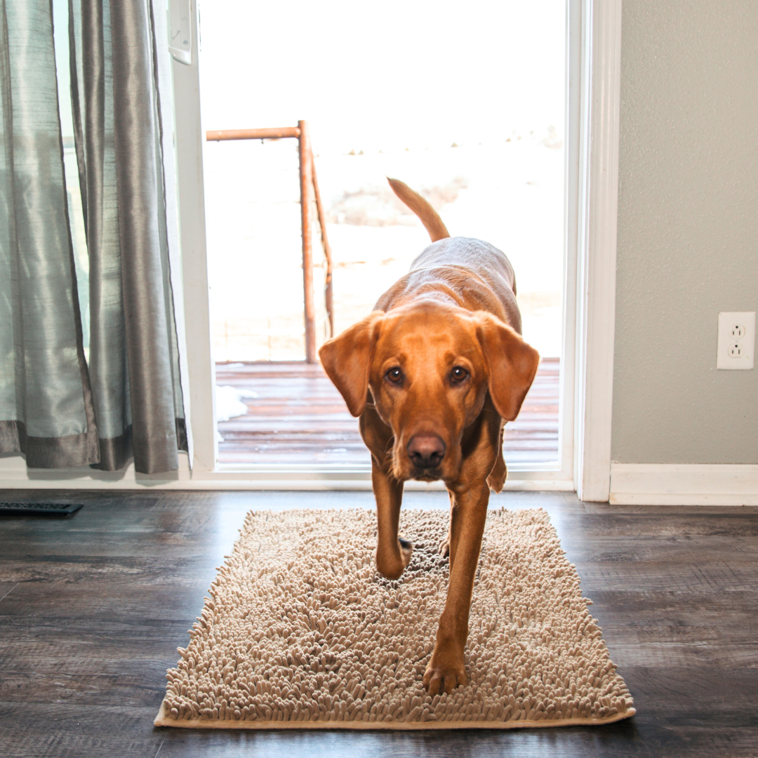 Lisslune | Joep Dog Door Mat – Super Absorbent Mat for Dirty Paws