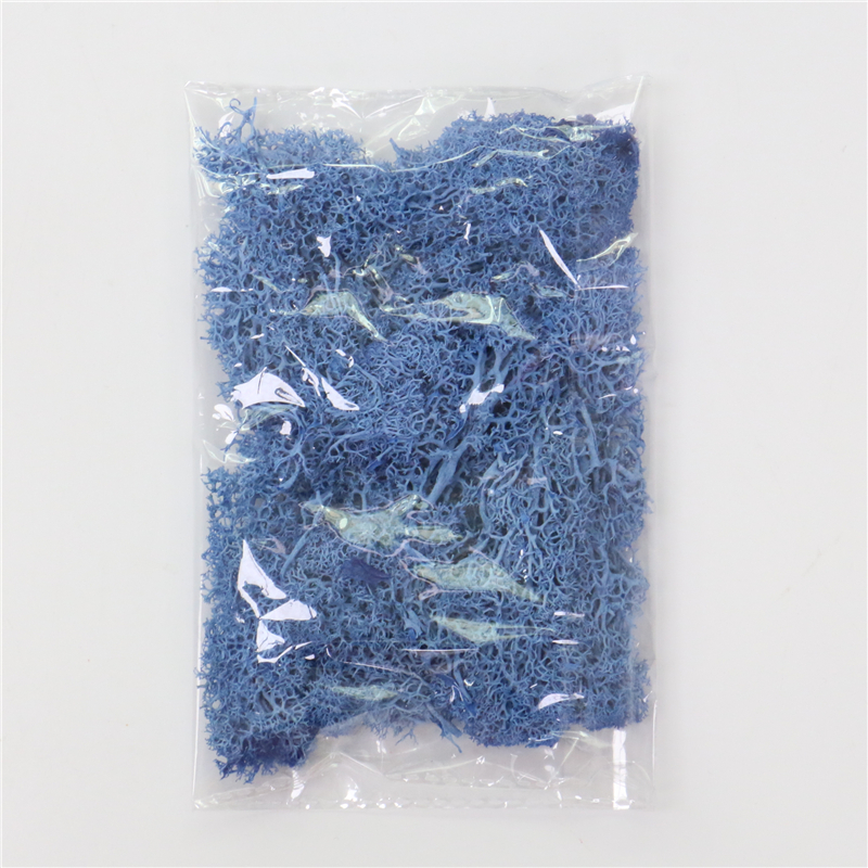 Lisslune | Artificial Moss for Landscaping – Moss and Flowers for Decoration and Floristry