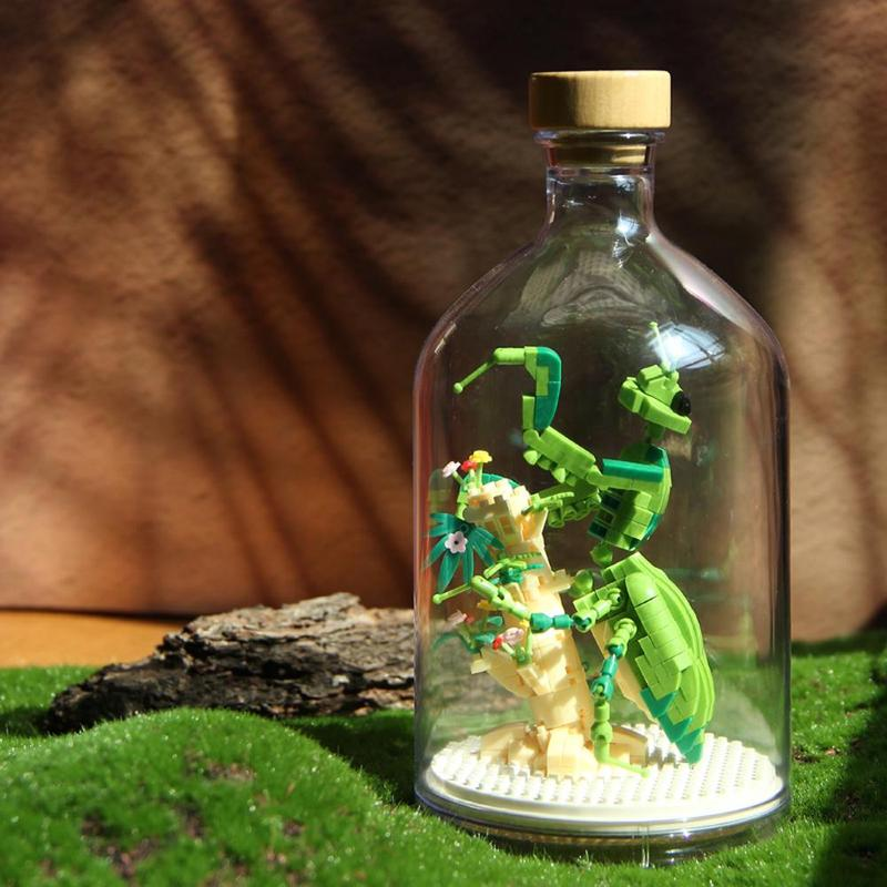 Lisslune | Mini building blocks for insect collection