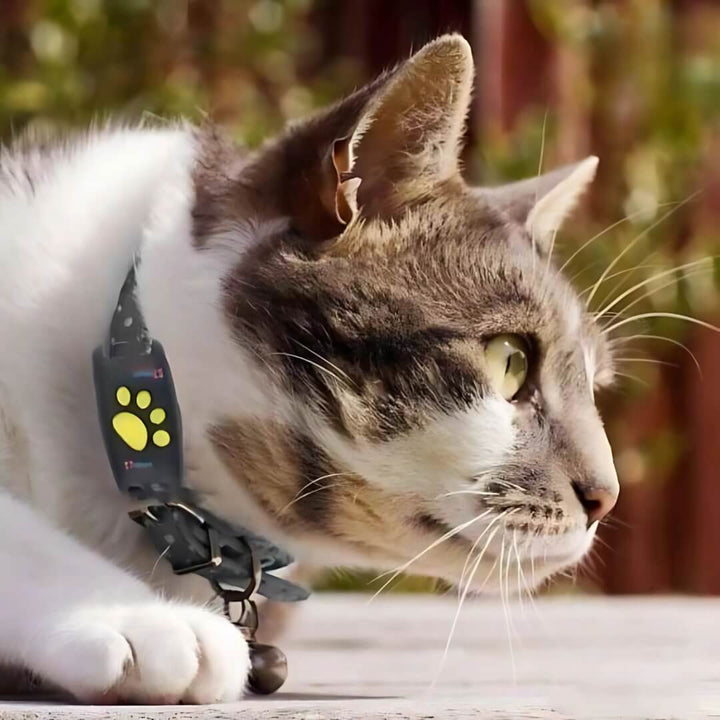 Lisslune | #1 Find  GPS Cat Tracker with Real-Time Location, Waterproof Design, and Activity Monitoring for Pet Safety and Tracking