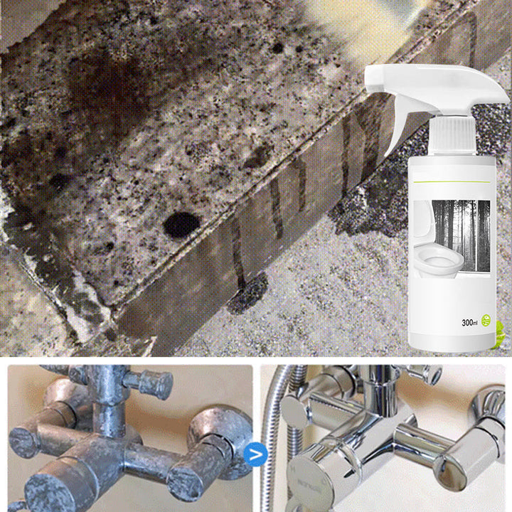 Lisslune | Powerful cleaner for stains in toilet shine with oxalic acid