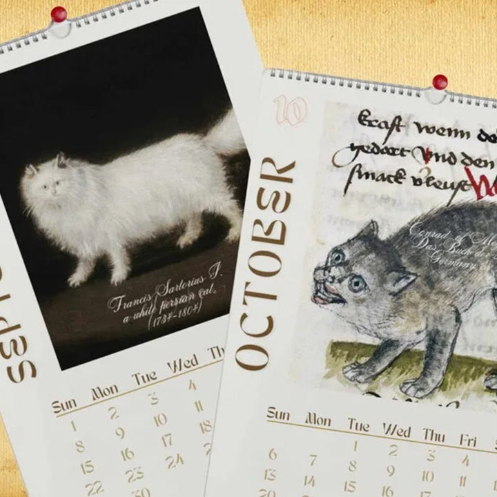 Lisslune | 2024 Wall Calendar, Funny Art Novelty Gift