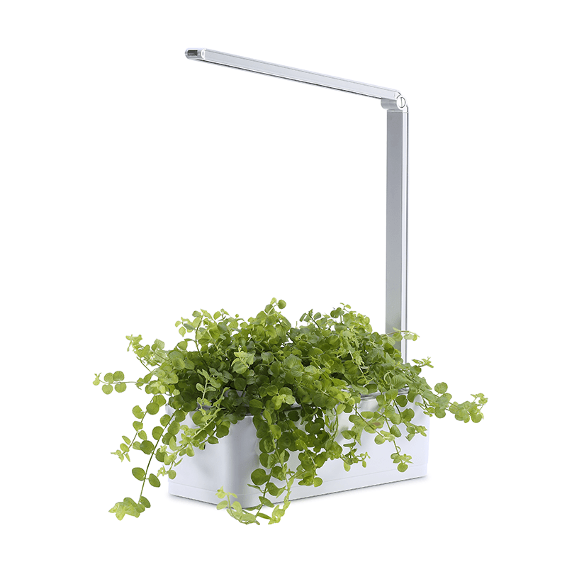 Lisslune | Hydroponic Systems with Led Plant Grow Light, Intelligent Watering, Water Shortage Reminder and Timer Switch (with US Standard Plug, 110v~220v)