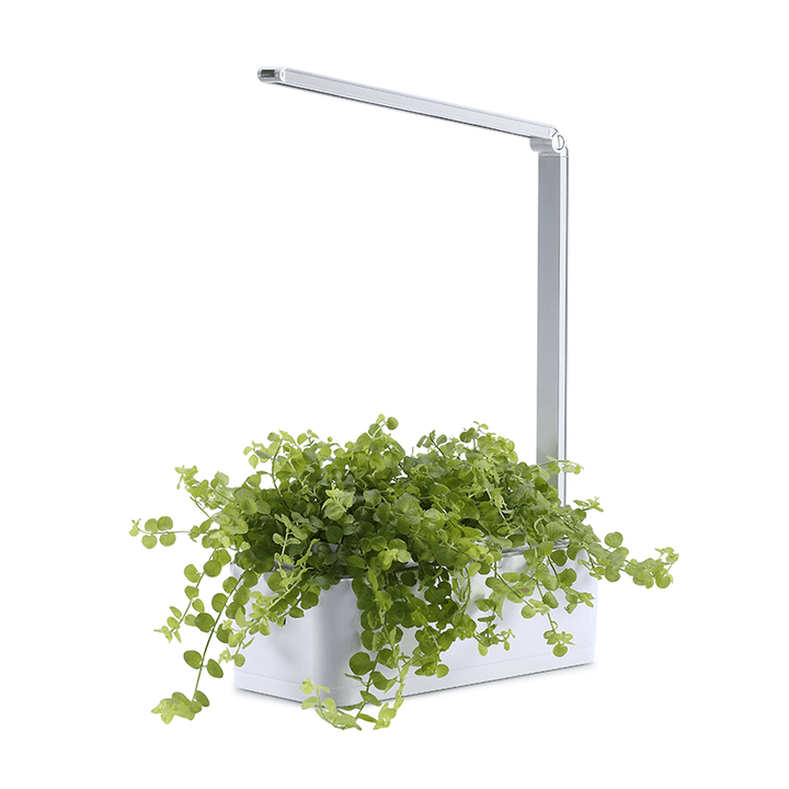 Lisslune | Hydroponic Systems with Led Plant Grow Light, Intelligent Watering, Water Shortage Reminder and Timer Switch (with US Standard Plug, 110v~220v)
