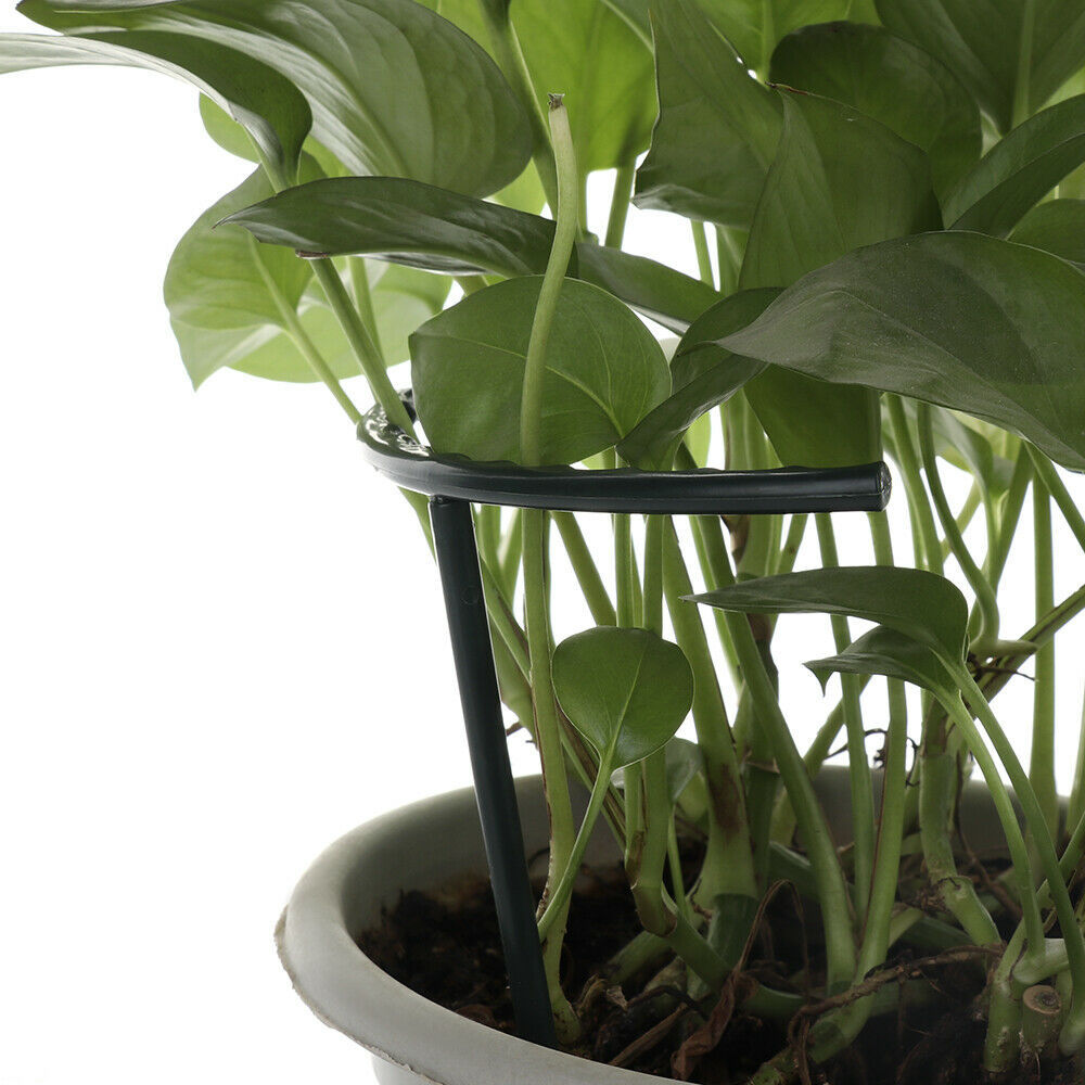 Lisslune | Climbing support for plants – Robust holder with cage design for growth and stability