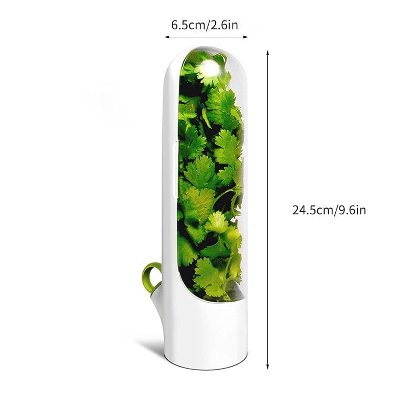 Lisslune | Herb Fresh Holder