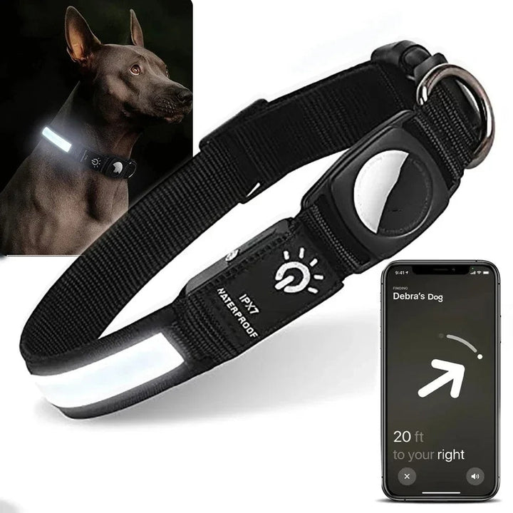 Lisslune | Flashing Dog Collars – Waterproof LED Light Up Dog Collar with USB Rechargeable Glow, Dog Collars Illuminated for Night Safety, All Sizes