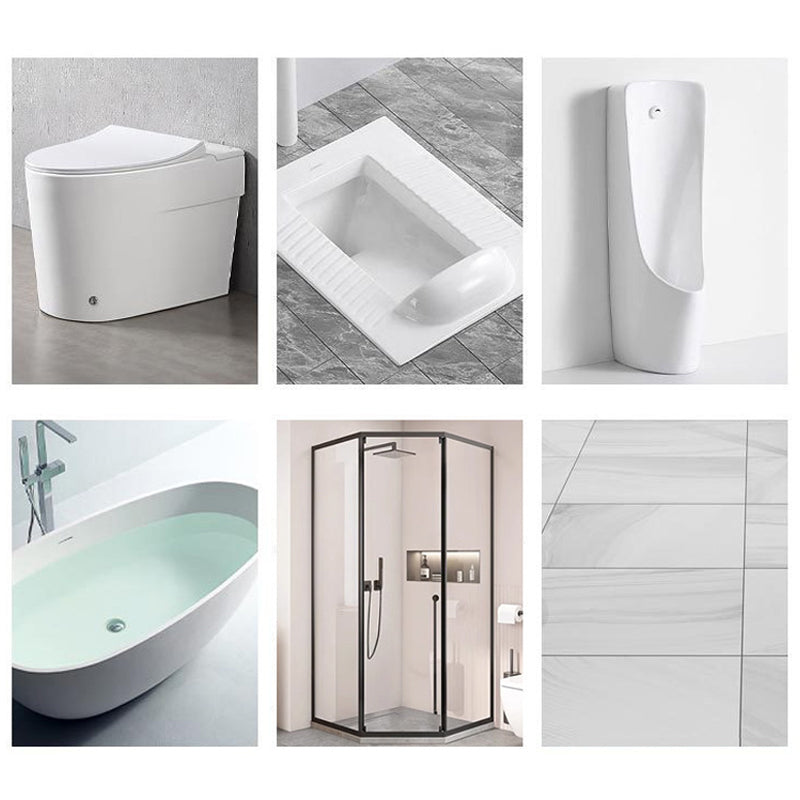 Lisslune | Powerful cleaner for stains in toilet shine with oxalic acid