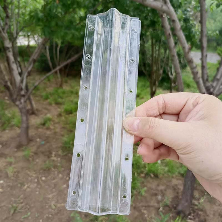 Lisslune | Love Shape Cucumber Growth Form