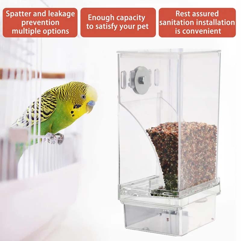 Lisslune | Automatic transparent bird feeder without spills