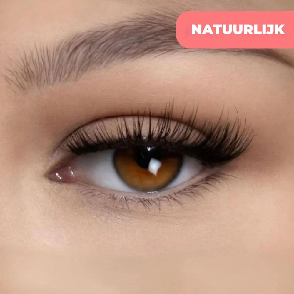 Lisslune | EasyLash Reusable Magnetic Eyelashes – Natural Look & All-Day Hold