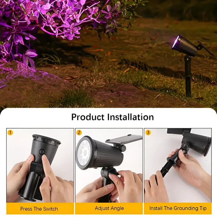 Lisslune | Power Glow Solar Light