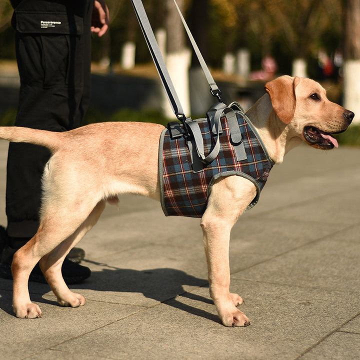 Lisslune | Orthopedic Strap for Hind Legs