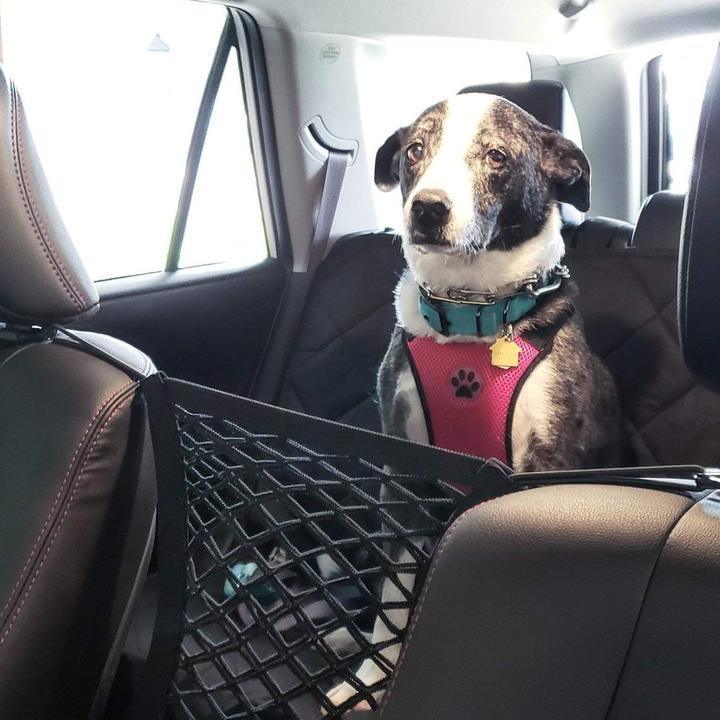 Lisslune | Car Seat Storage Net Hook Organizer