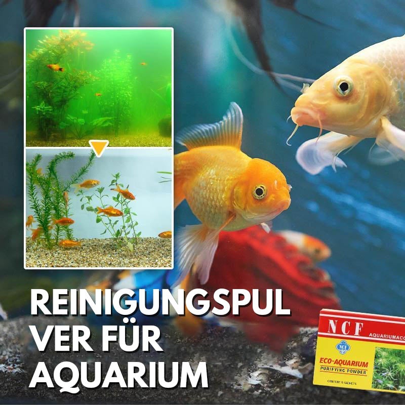 Lisslune | Cleaning Powder for Aquarium