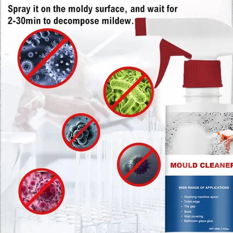 Lisslune | Mold Cleaner Foam