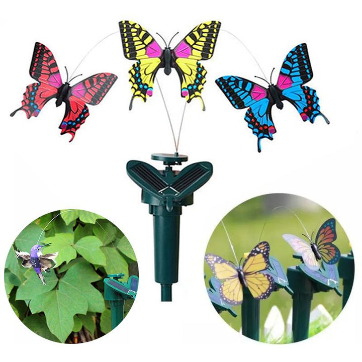 Lisslune | Solar-powered dancing hummingbird and butterfly