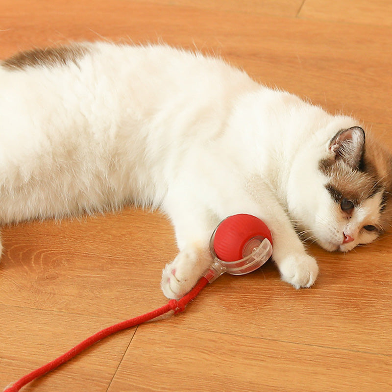 Lisslune | Indoor Cat interactive ball