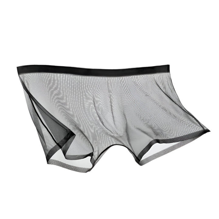 Lisslune | ICE-MESH-BOXER SHORTS