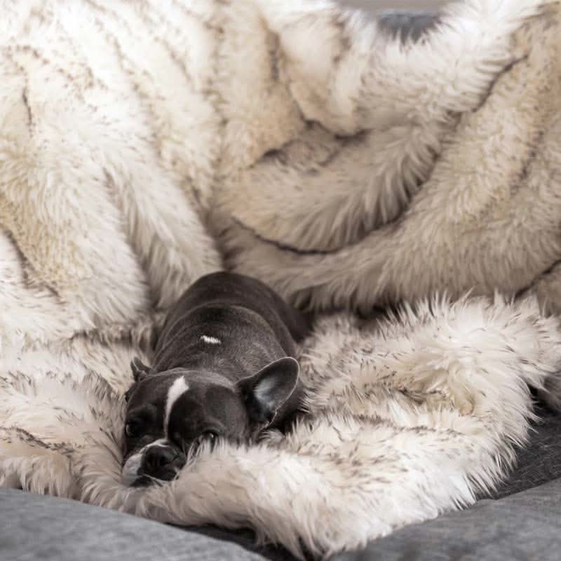 Lisslune | FURGUARD - Waterproof Pet Blanket