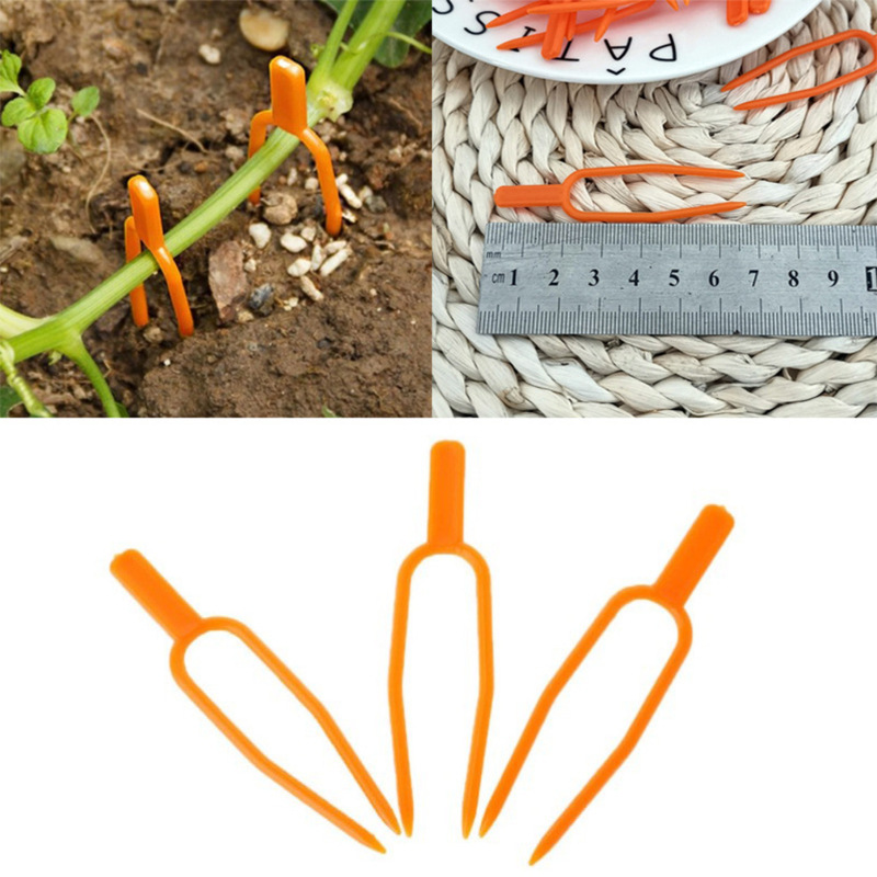 Lisslune | Garden plants support clamps made of plastic for optimal plant stability