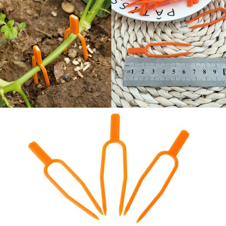 Lisslune | Garden plants support clamps made of plastic for optimal plant stability