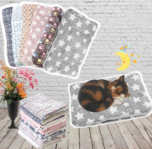 Lisslune | Cozy heat cushion for cats