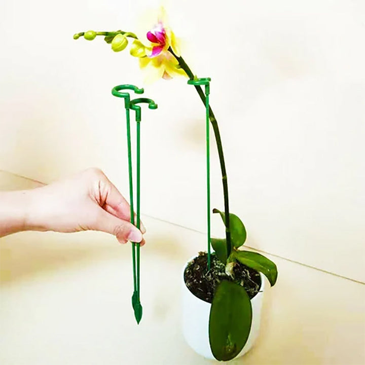 Lisslune | Plant Supports Stake