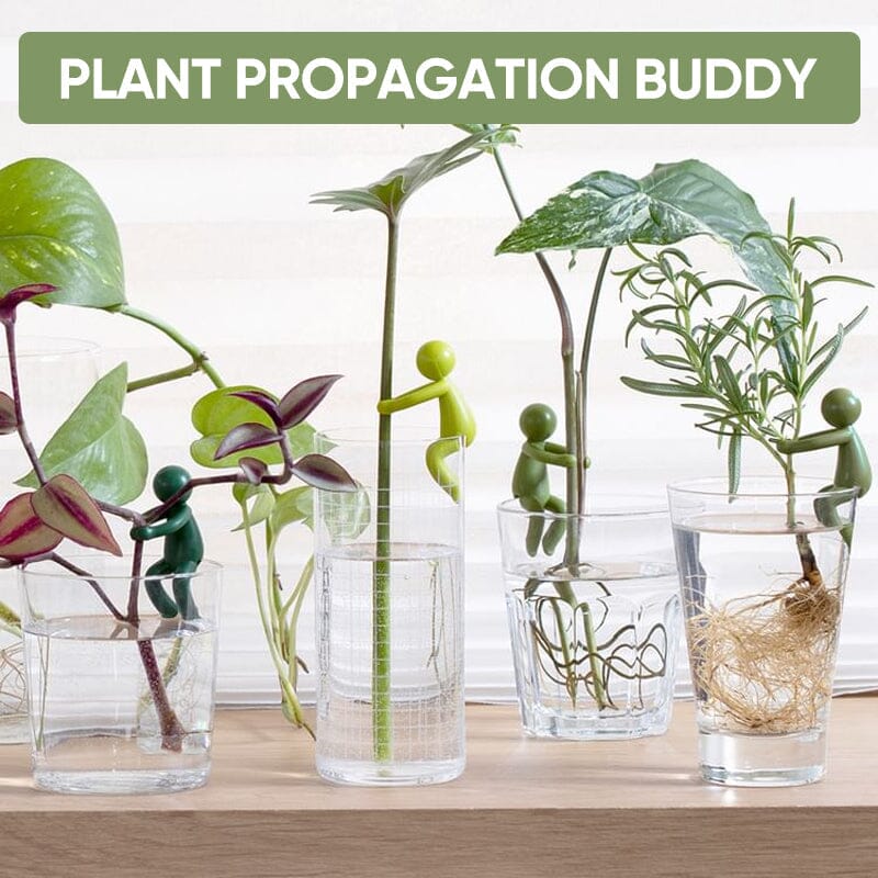 Lisslune | Plant Propagation Friend