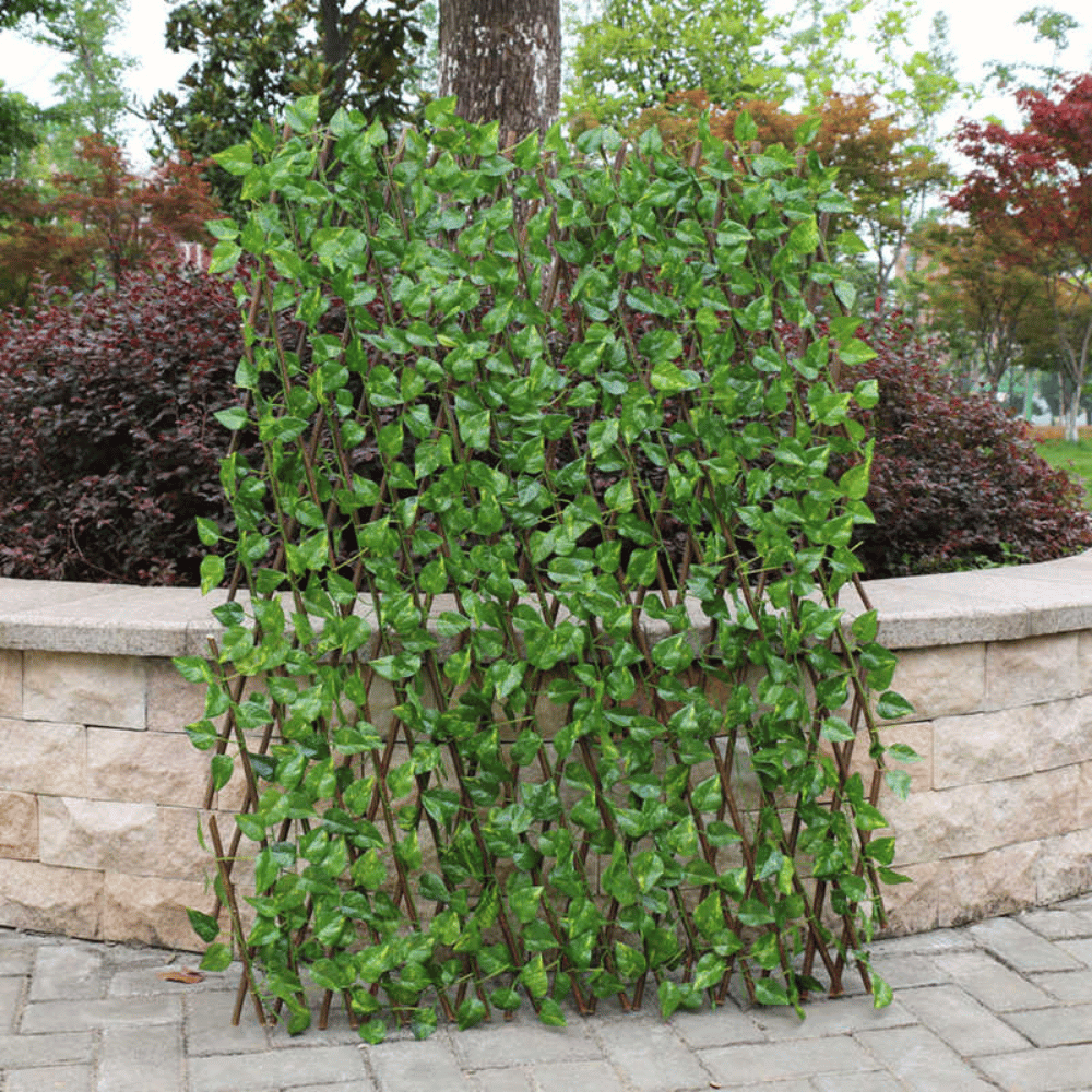 Lisslune | IntimyGreen - Premium Expandable Plant Fence