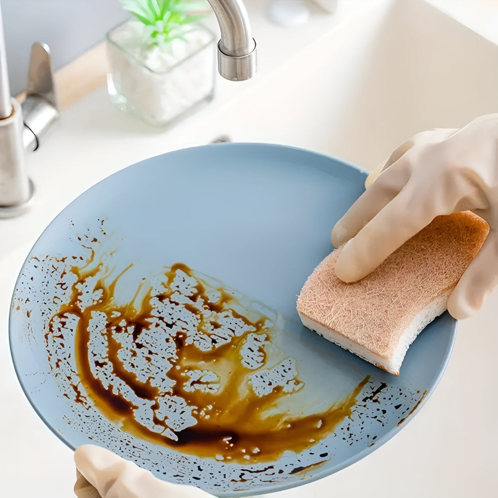 Lisslune | Coconut Fiber Natural Dish Sponge